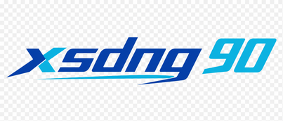 XSDNG 90 Logo